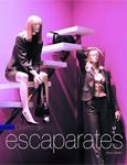 DISEÑO DE ESCAPARATES | 9788496429024 | MARIN, DIONI