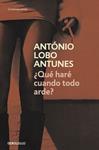 QUÉ HARÉ CUANDO TODO ARDE? | 9788490324714 | LOBO ANTUNES, ANTÓNIO