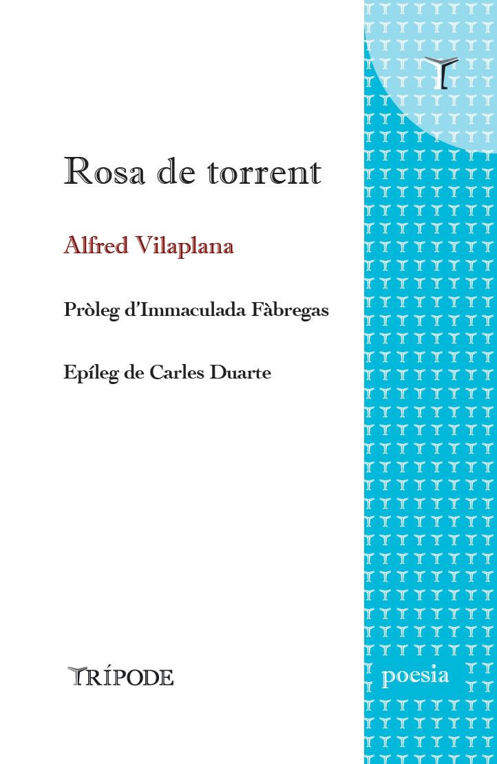 ROSA DE TORRENT | 9788412392012 | VILAPLANA, ALFRED