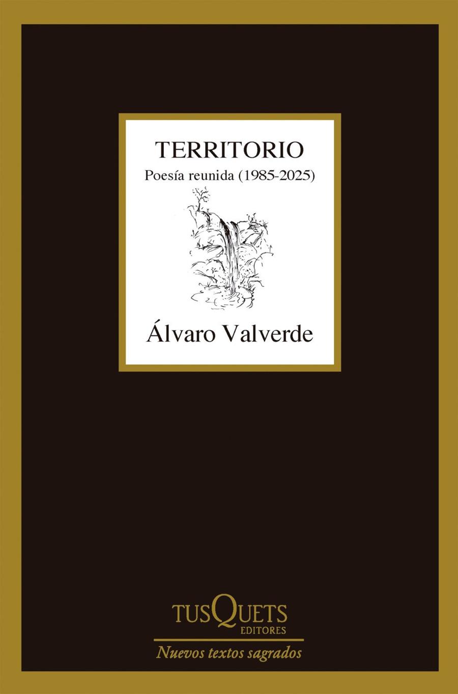 TERRITORIO. POESÍA REUNIDA (1985-2025) | 9788411077361 | VALVERDE, ALVARO