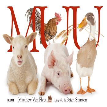 MUU (CATALAN) (2026) | 9791387881047 | FLEET, MATTHEW VAN / STANTON, BRIAN