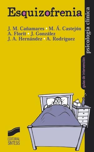 ESQUIZOFRENIA | 9788477388494 | CAÑAMARES YELMO, JOSÉ MANUEL/Y OTROS