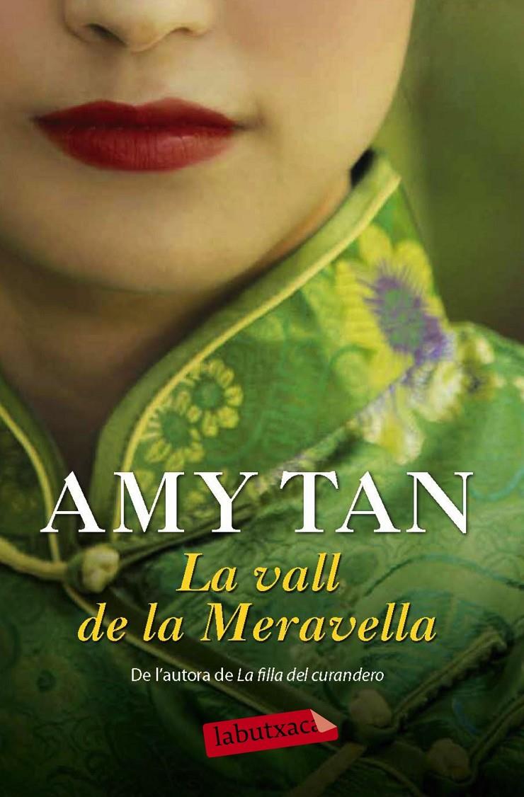 VALL DE LA MERAVELLA | 9788416334278 | TAN, AMY