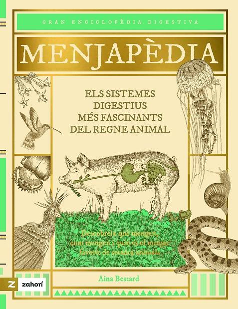 MENJAPÈDIA | 9788419889423 | BESTARD, AINA