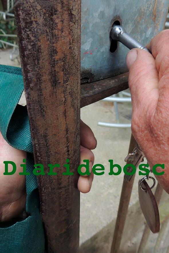 DIARI DE BOSC | DIARIDEBOSC | VALL KARSUNKE, JOAN