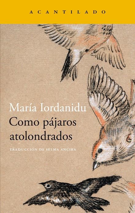 COMO PÁJAROS ATOLONDRADOS | 9788419036704TA | IORDANIDU, MARIA