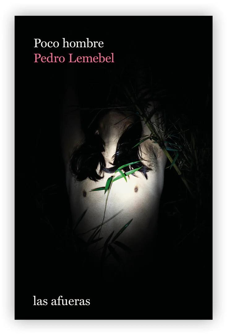 POCO HOMBRE. CRÓNICAS ESCOGIDAS | 9788412480276 | LEMEBEL, PEDRO