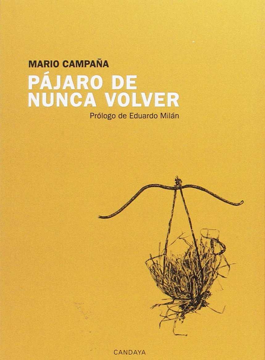 PÁJARO DE NUNCA VOLVER | 9788415934301 | CAMPAÑA, MARIO (1959-)
