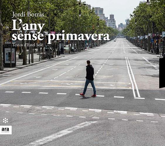 L'ANY SENSE PRIMAVERA | 9788417804541 | BORRÀS, JORDI/SOLE I CASADELLÀ, ESTEL