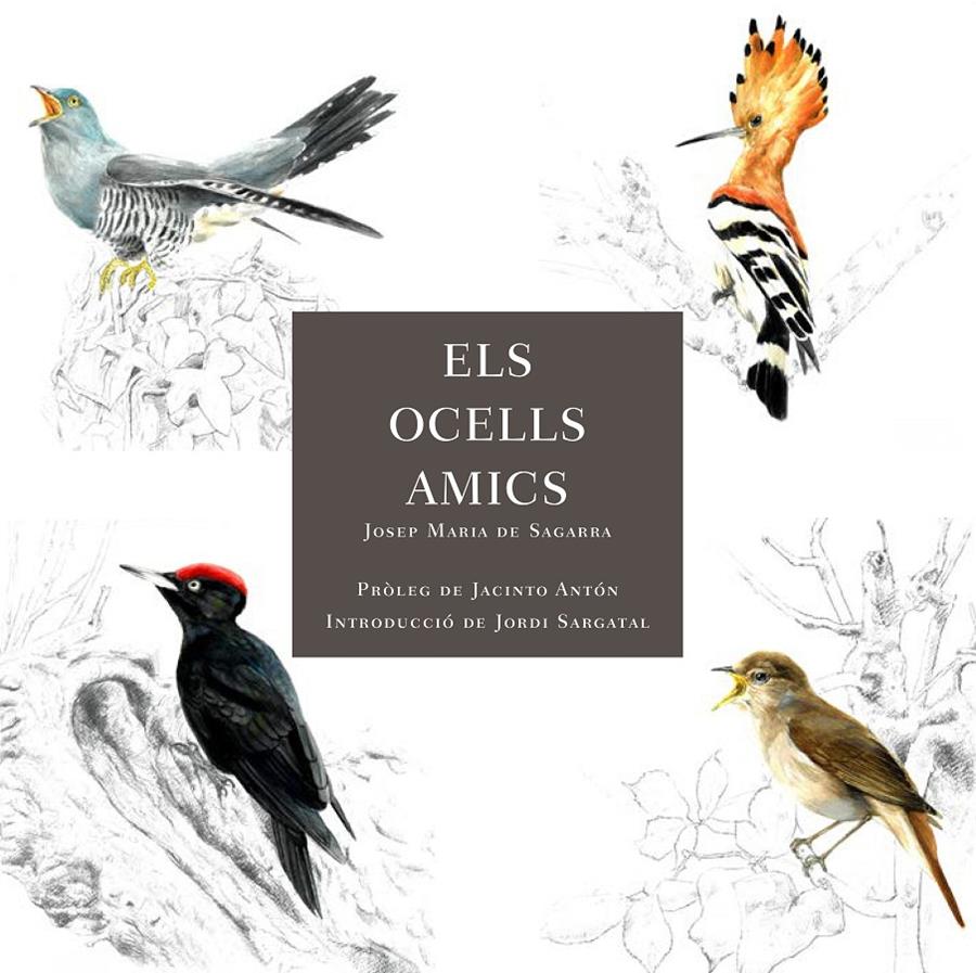 ELS OCELLS AMICS | 9788412949025 | SAGARRA, JOSEP MARIA DE