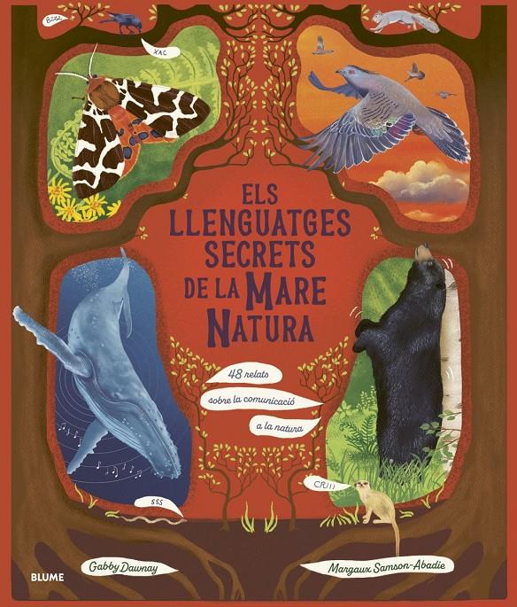 ELS LLENGUATGES SECRETS DE LA MARE NATURA | 9788410469952 | DAWNAY, GABBY / SAMSON ABADIE, MARGAUX