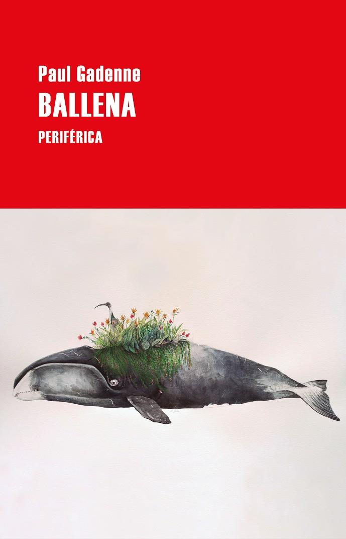 BALLENA | 9788418264542 | GADENNE, PAUL