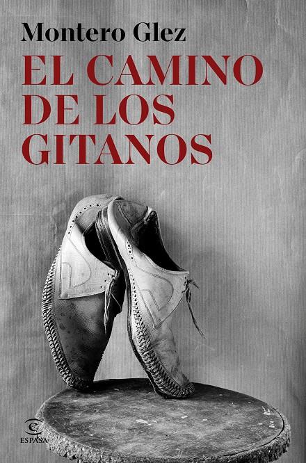 EL CAMINO DE LOS GITANOS | 9788467082708 | GLEZ, MONTERO
