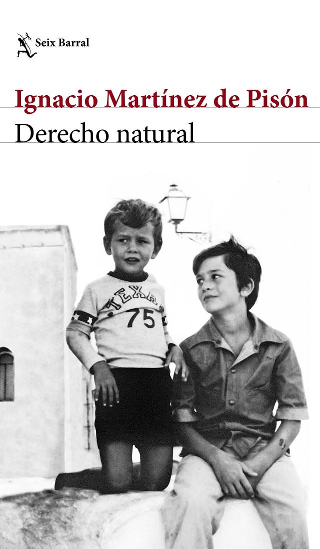 DERECHO NATURAL | 9788432232220TA | MARTÍNEZ DE PISÓN, IGNACIO