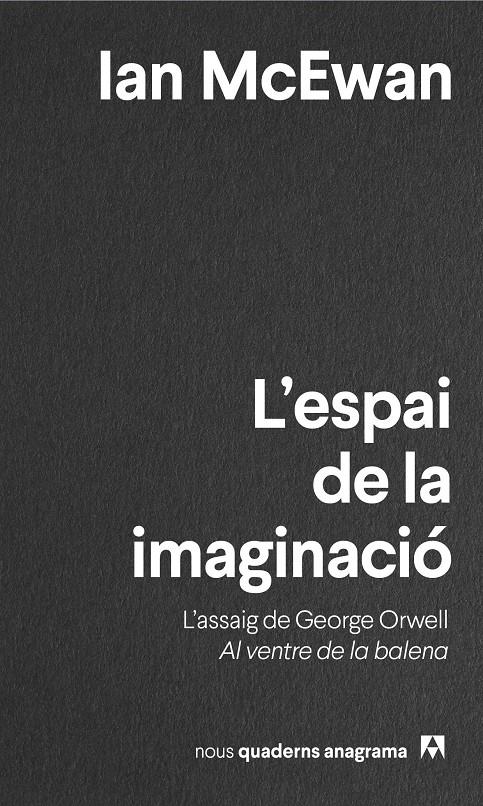 L'ESPAI DE LA IMAGINACIÓ | 9788433916648 | MCEWAN, IAN