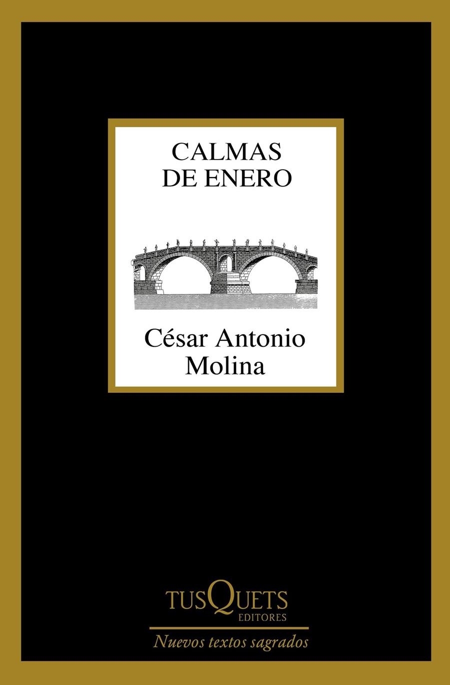 CALMAS DE ENERO | 9788490664704 | MOLINA, CÉSAR ANTONIO