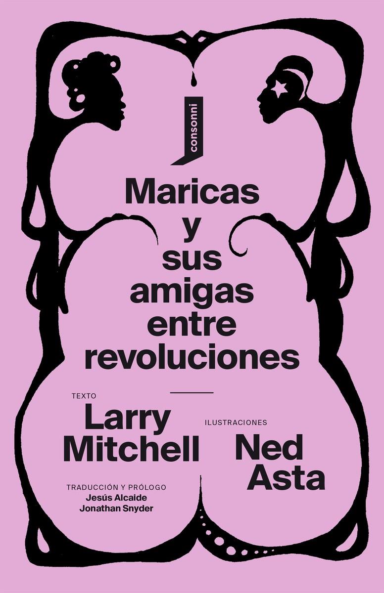 MARICAS Y SUS AMIGAS ENTRE REVOLUCIONES | 9788416205769 | ASTA NED / MITCHELL LARRY