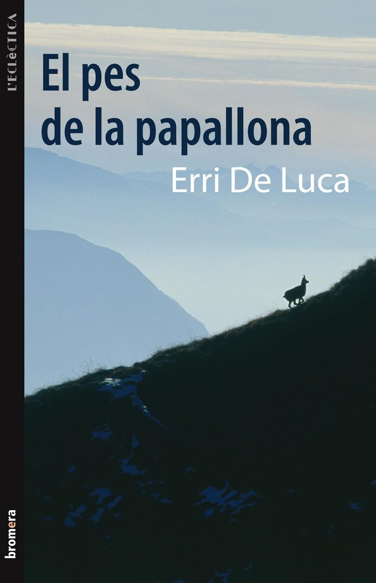EL PES DE LA PAPALLONA | 9788498248586 | LUCA, ERRI DE
