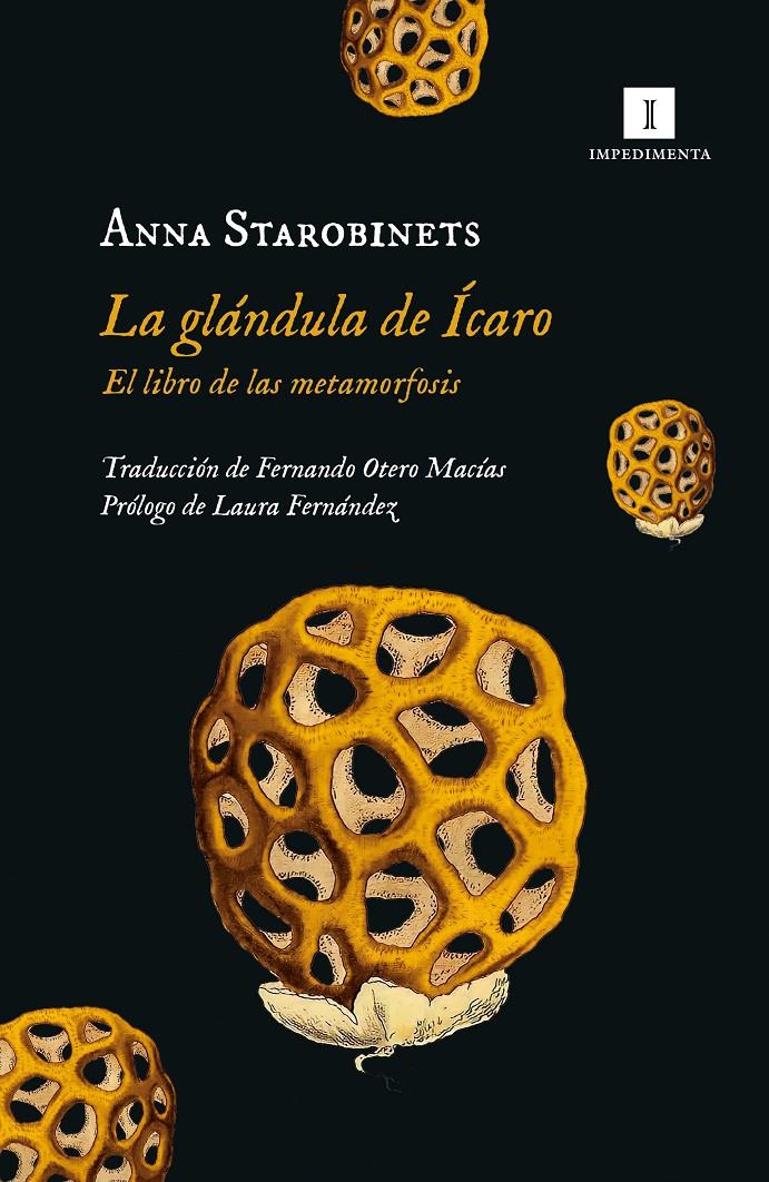 LA GLÁNDULA DE ICARO | 9788419581020 | STAROBINETS, ANNA
