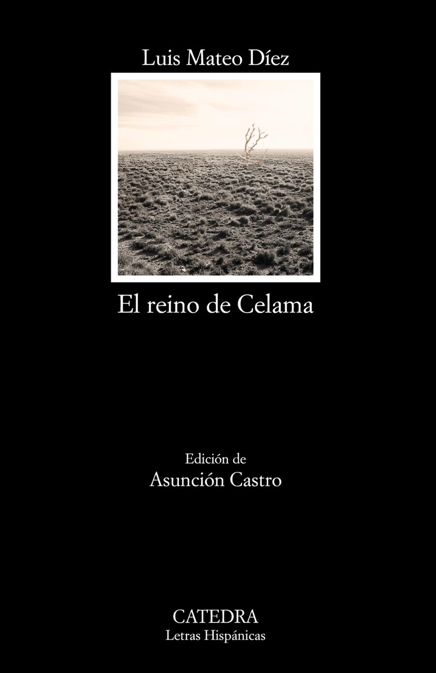 EL REINO DE CELAMA | 9788437634791 | DÍEZ, LUIS MATEO