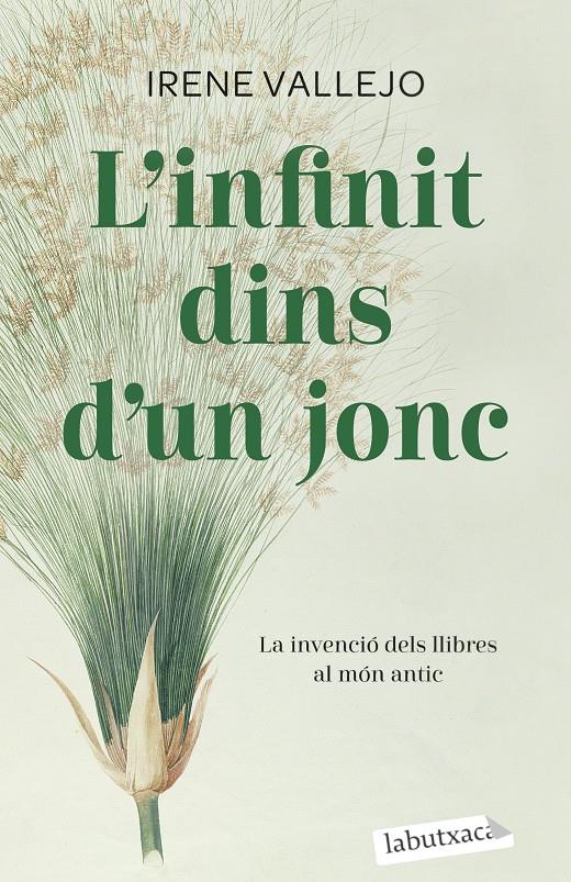 L'INFINIT DINS D'UN JONC | 9788419107121 | VALLEJO, IRENE