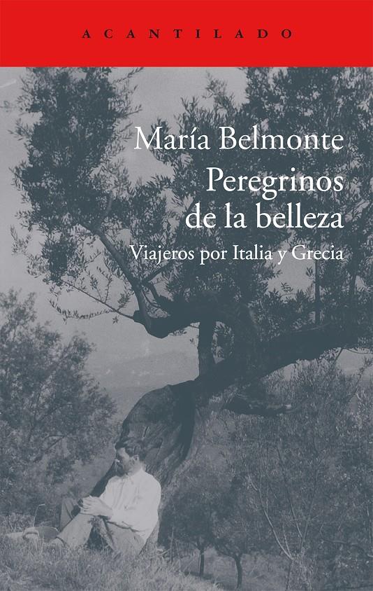 PEREGRINOS DE LA BELLEZA | 9788416011513 | BELMONTE BARRENECHEA, MARÍA