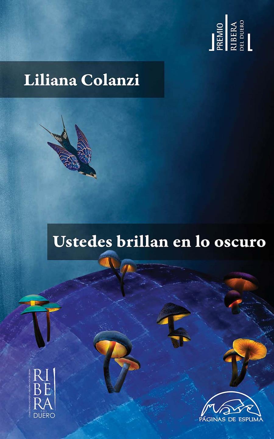 USTEDES BRILLAN EN LO OSCURO | 9788483933145 | COLANZI, LILIANA