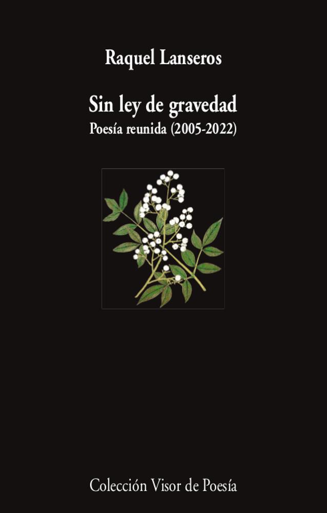 SIN LEY DE GRAVEDAD | 9788498954654 | LANSEROS, RAQUEL