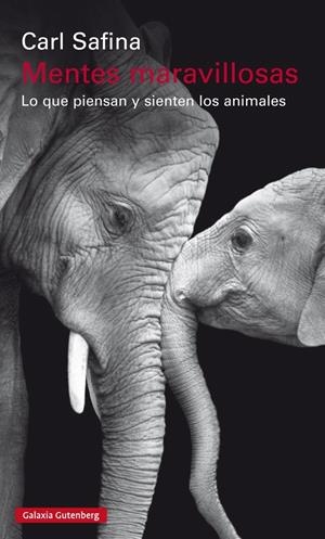 MENTES MARAVILLOSAS. LO QUE PIENSAN Y SIENTEN LOS ANIMALES | 9788481095746 | SAFINA, CARL