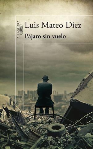 PÁJARO SIN VUELO | 9788420474984 | DÍEZ, LUIS MATEO