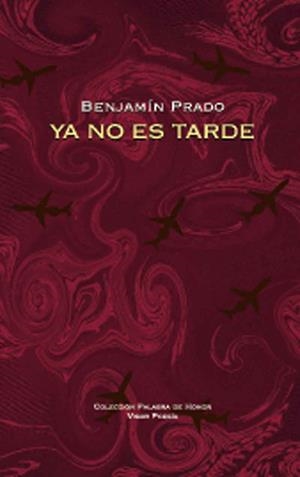 YA NO ES TARDE | 9788498952247 | PRADO, BENJAMÍN