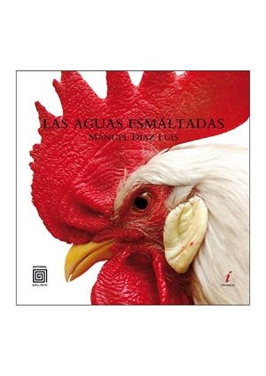 AGUAS ESMALTADAS, LAS | 9788415739128 | DÍAZ LUIS, MANUEL