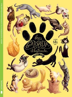 BREU GATOPÈDIA IL·LUSTRADA | 9788494469886 | ZARO, ZORAIDA