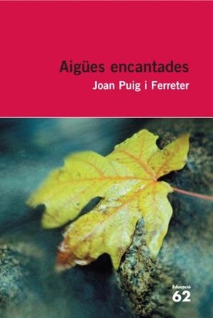 AIGÜES ENCANTADES | 9788492672431 | PUIG  I FERRETER, JOAN