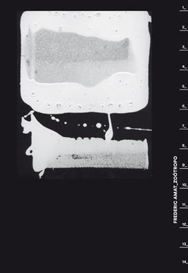 FREDERIC AMAT ZOÓTROPO | 9788417047016 | AMAT, FREDERIC