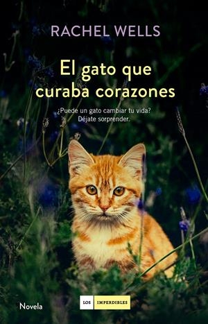GATO QUE CURABA CORAZONES, EL | 9788416634477 | WELLS, RACHEL