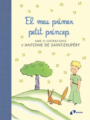 EL MEU PRIMER PETIT PRÍNCEP | 9788499067704 | SAINT EXUPERI, ANTOINE DE