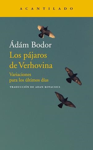 LOS PÁJAROS DE VERHOVINA | 9788417346706 | BODOR, ÁDÁM 