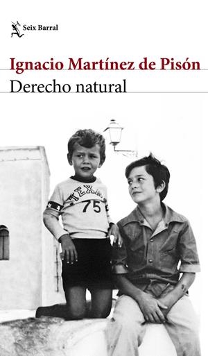 DERECHO NATURAL | 9788432232220TA | MARTÍNEZ DE PISÓN, IGNACIO