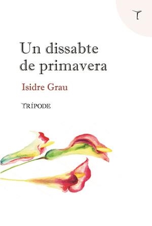 UN DISSABTE DE PRIMAVERA | 9788412065152 | GRAU ANTOLÍ, ISIDRE