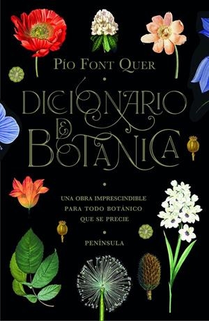 DICCIONARIO DE BOTÁNICA | 9788499429076 | FONT QUER, PÍO