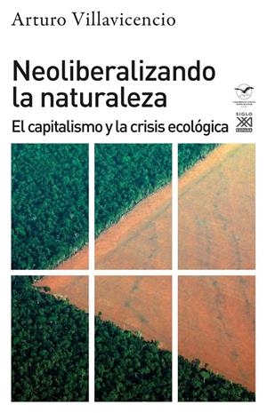 NEOLIBERALIZANDO LA NATURALEZA | 9788432320019 | VILLAVICENCIO, ARTURO