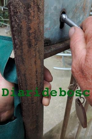 DIARI DE BOSC | DIARIDEBOSC | VALL KARSUNKE, JOAN