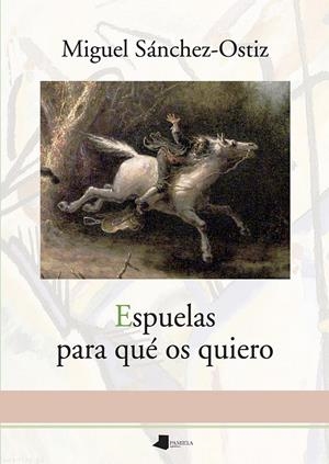 ESPUELAS PARA QUÉ OS QUIERO | 9788491722762 | SÁNCHEZ-OSTIZ, MIGUEL