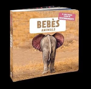 BEBÈS ANIMALS | 9788418762109 | AAVV