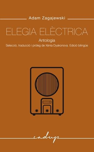 ELEGIA ELÈCTRICA. ANTOLOGIA | 9788412843347 | ZAGAJEKSKI, ADAM