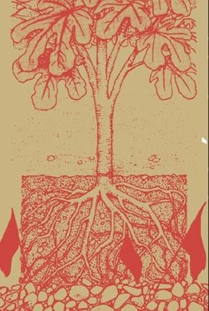 AUTONOMÍA Y SUBSISTENCIA | 9788417870423 | BERLAN, AURELIEN 