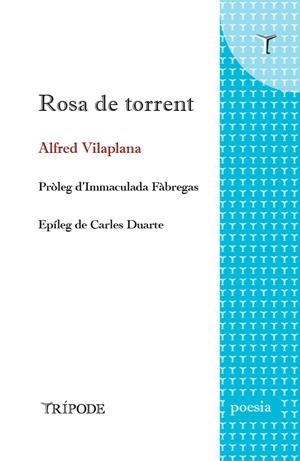 ROSA DE TORRENT | 9788412392012 | VILAPLANA, ALFRED