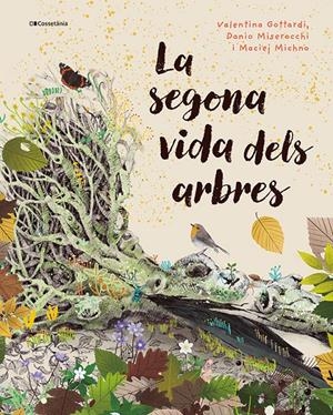 LA SEGONA VIDA DELS ARBRES | 9788413565040 | MISEROCCHI, DANIO / MICHNO, MACIEJ