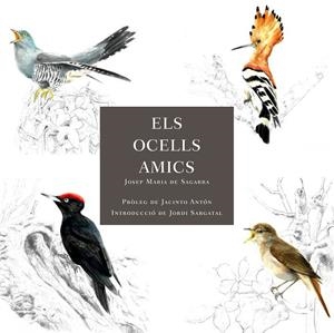 ELS OCELLS AMICS | 9788412949025 | SAGARRA, JOSEP MARIA DE